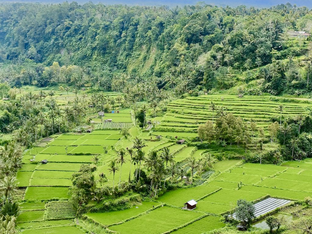 Bali Indonesie